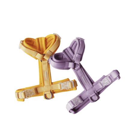 Y-shaped harness